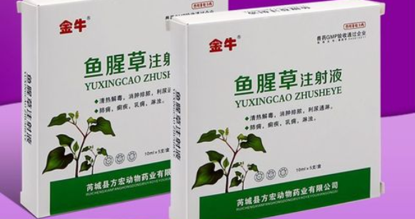 兽用鱼腥草注射注液可以口服吗