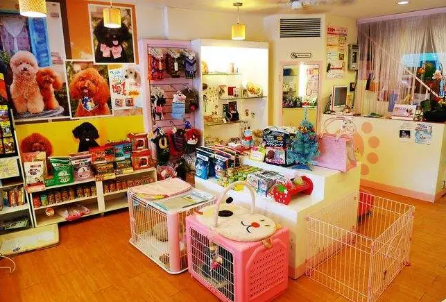 宠物店加盟要多少钱
