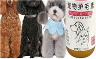 安蔻儿护毛素测评
