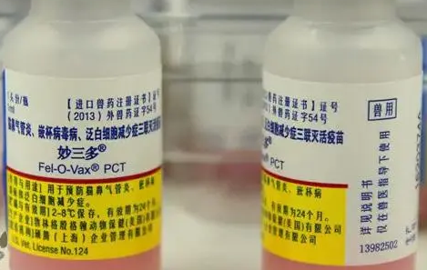 猫三联是疫苗项目，妙三多是疫苗品牌，可不是一回事！-宠物网