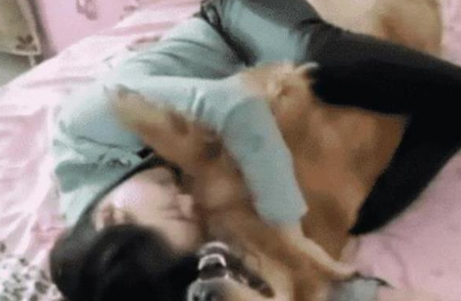 女子醉酒后抱着金毛睡觉，酒醒后放声大哭