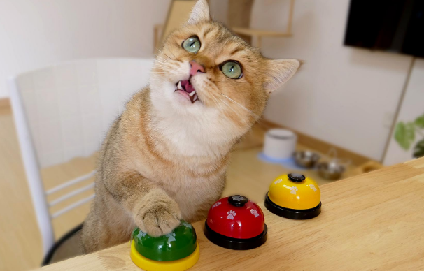 人语音转换猫声
