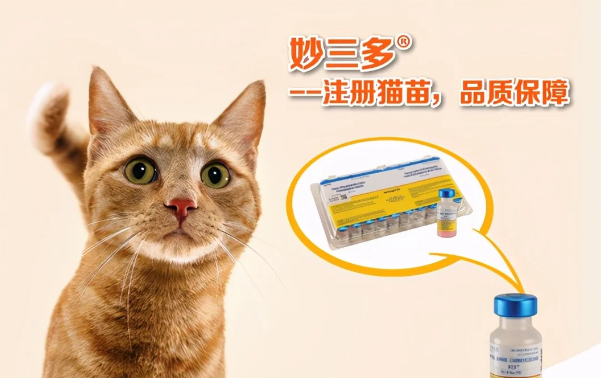 妙三多疫苗 为猫咪的安全保驾护航-宠物网
