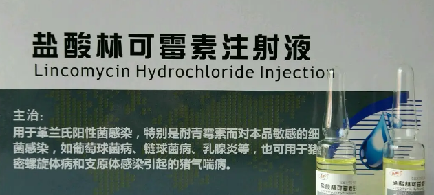 盐酸林可霉素可以稀释青霉素吗