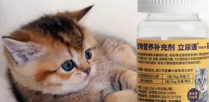 猫用利尿通成分