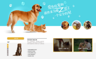 宠物网页设计模板是什么