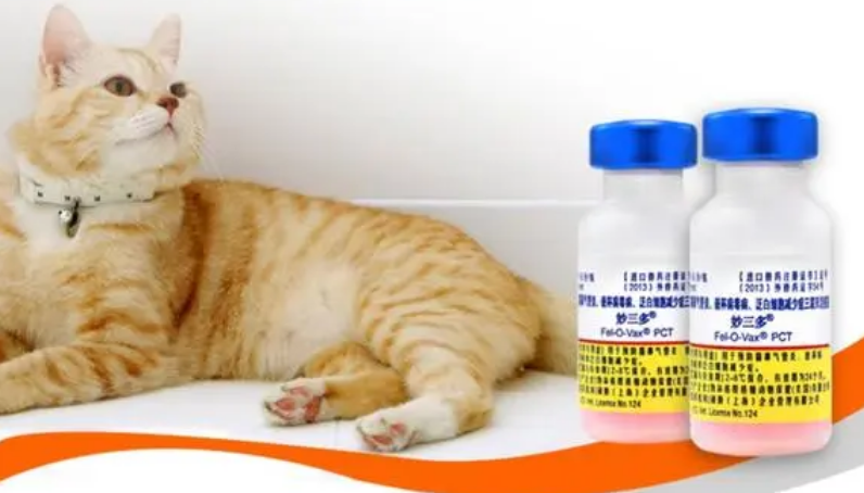 猫三联和妙三多打哪个好