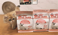 皇家猫粮主要原料是什么