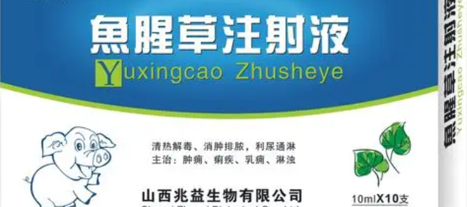 兽用鱼腥草注射针剂说明书