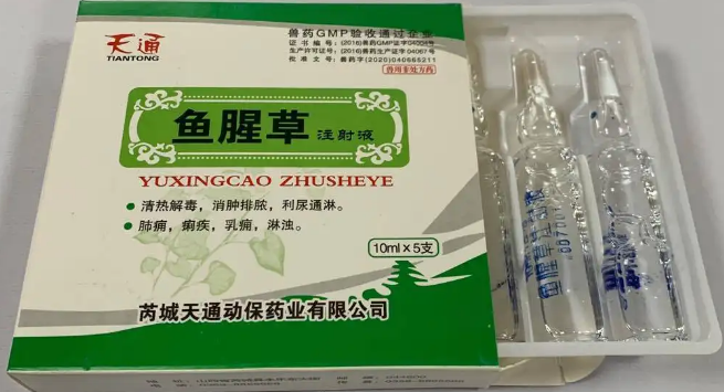 鱼腥草针剂功效
