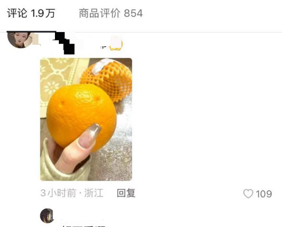 金毛狗帮忙摘橙子售卖引争议,究竟是否多此一举 金毛狗帮忙摘橙子售卖引争议,究竟是否多此一举