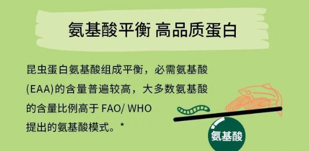 新品｜一款解决宠物过敏问题的德国进口昆虫蛋白宠粮