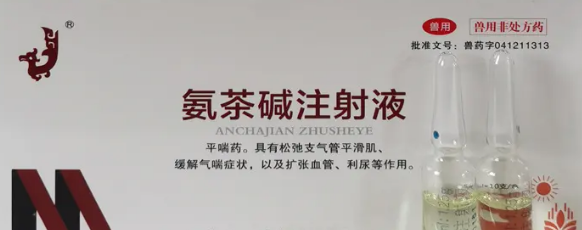 氨茶碱可以治啥