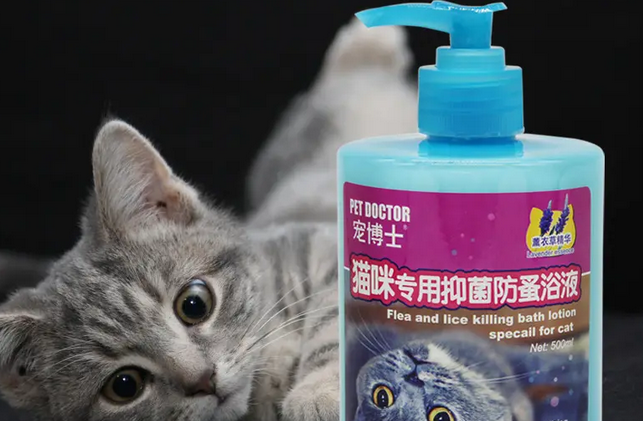 宠博士的加盟条件和加盟流程,快来看看吧 宠博士的加盟条件和加盟流程,快来看看吧