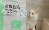 为什么猫咪术后吃处方粮食呢