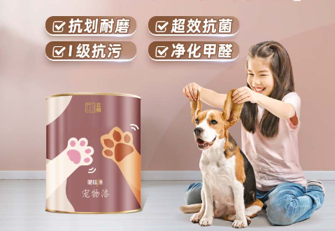 猫舍装修油漆用什么颜色