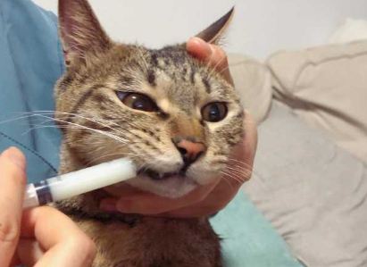 清开灵是中成药吗