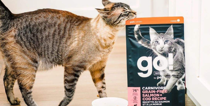 go猫粮，赋能宠物主科学养宠-百加世