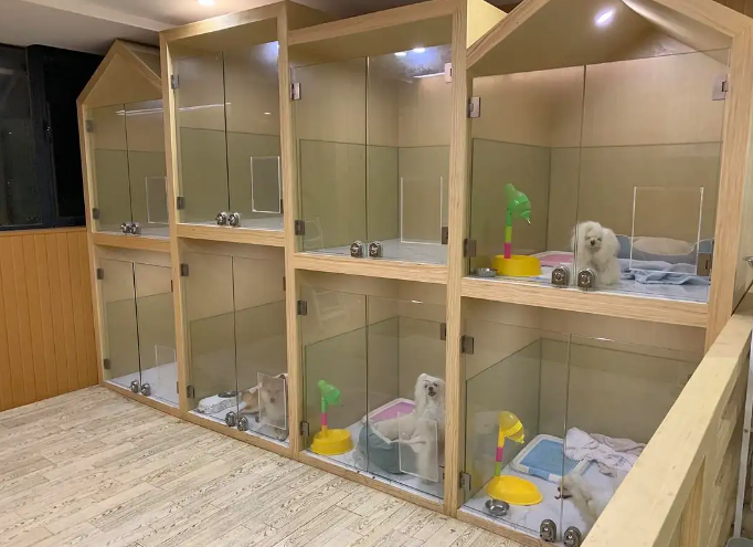 宠物店加盟店吗 宠物店加盟店吗