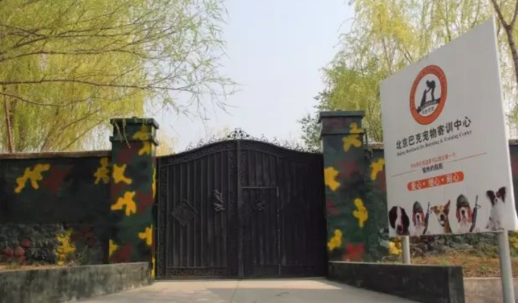 巴克宠物学校：打造“度假式寄养”！