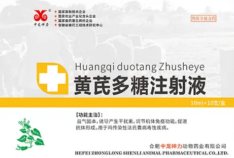 黄芪多糖和链霉素配合