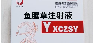 鱼腥草注射液的作用兽用