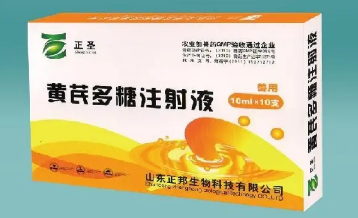 黄芪多糖注射剂的作用及功效