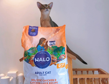 halo自然光环好不好 halo自然光环好不好