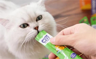 猫条喂多了会怎样