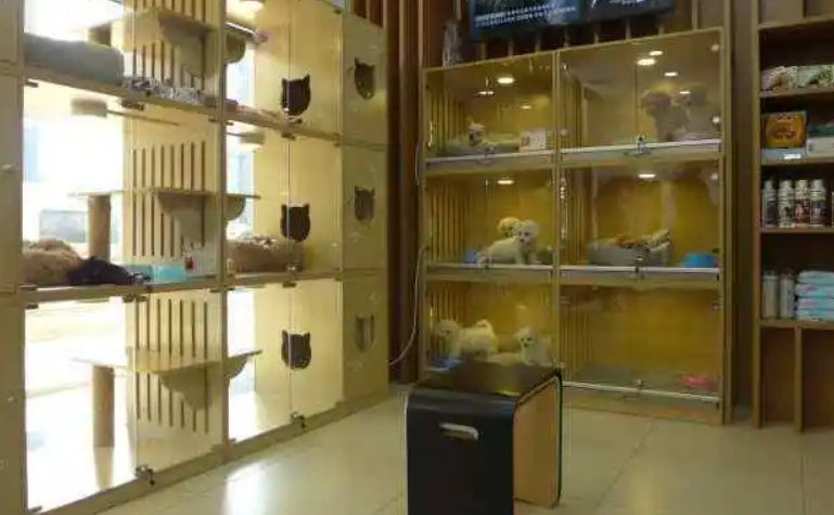 三亚宠物店多吗