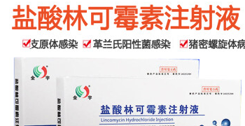 兽用盐酸林可霉素对猫咪有伤害吗