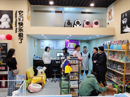 猫咪的美味盛宴：猫粮行业的最新动态