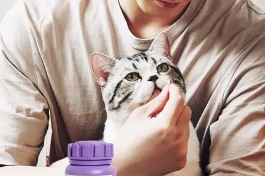 利尿通猫用什么原理
