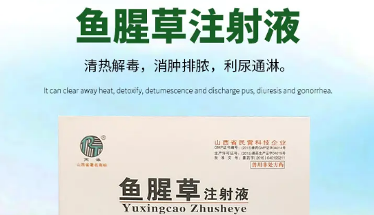 鱼腥草注射液是中药吗