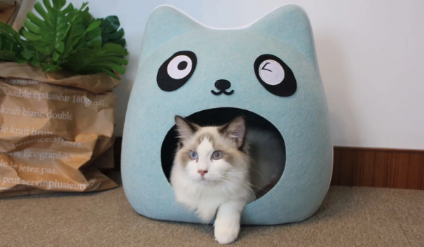 一进门就看见猫窝风水