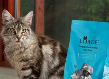 LORDE猫粮好不好