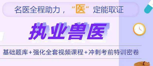 不是本专业怎么考兽医