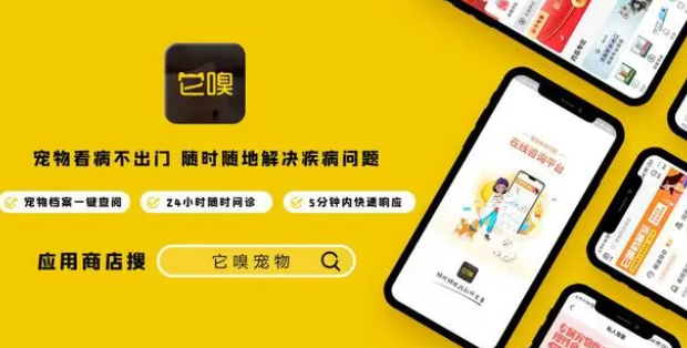 铲屎官们快来看！它嗅宠物引领线上宠物医疗新纪元！