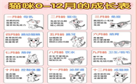 1到12个月猫咪变化图