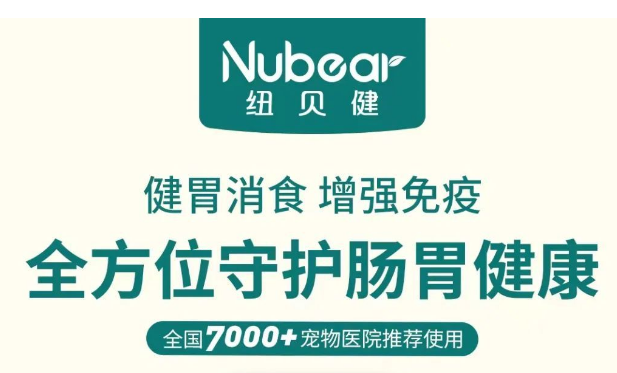 这里的动物没有主人，却被很多人爱｜纽贝健 × 王阿姨流浪狗基地
