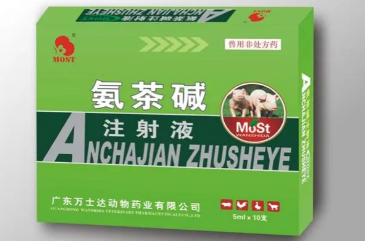 氨茶碱注射液的功效 氨茶碱注射液的功效