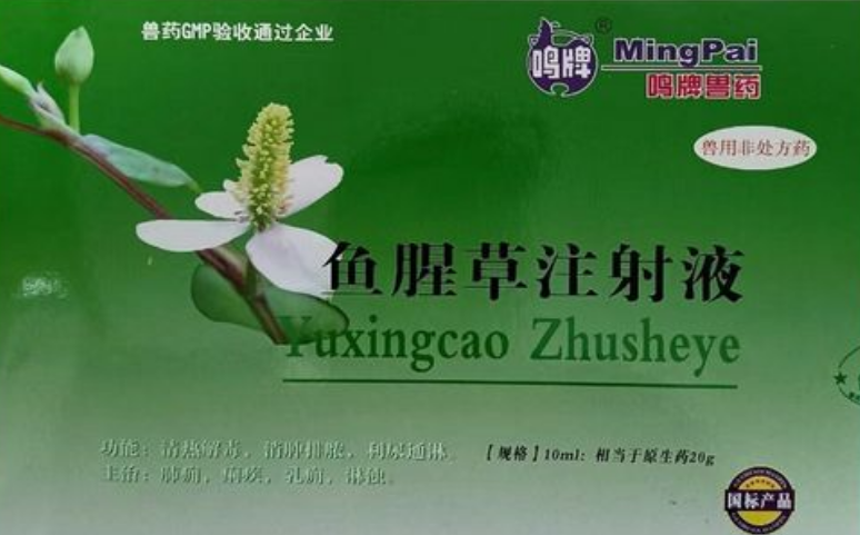 鱼腥草注射注液多少钱一盒
