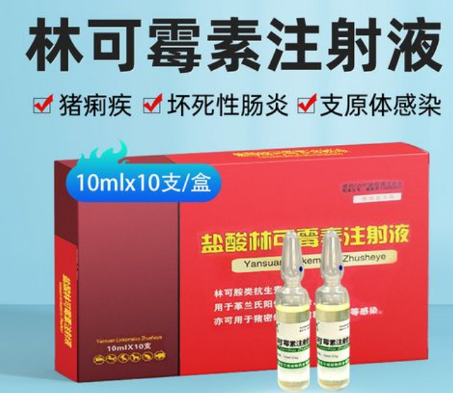 盐酸林可霉素是什么药