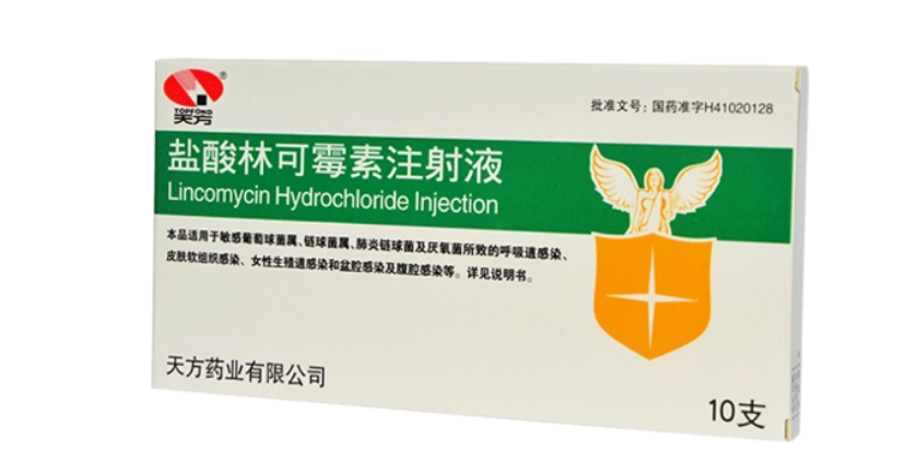 盐酸林可霉素注射液说明书