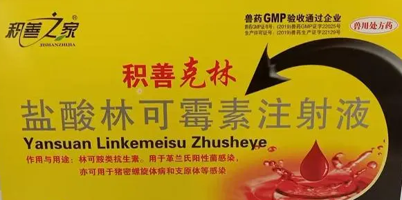 盐酸林可霉素主治