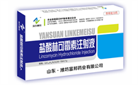 盐酸林可霉素价格