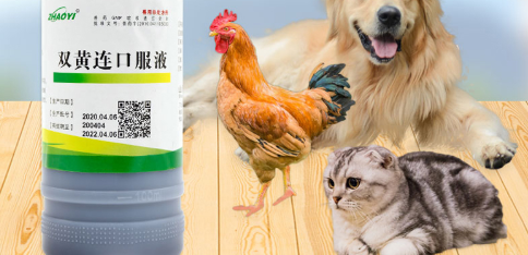 双黄连口服液说明书用法用量 双黄连口服液说明书用法用量