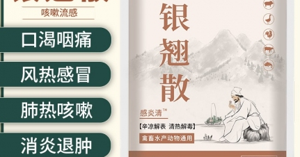 银翘散的配方 银翘散的配方