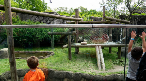大熊猫“丫丫”踏上回国旅程 大熊猫“丫丫”踏上回国旅程