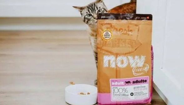 百加世go猫粮与NOW FRESH，致力宠物食品高品质